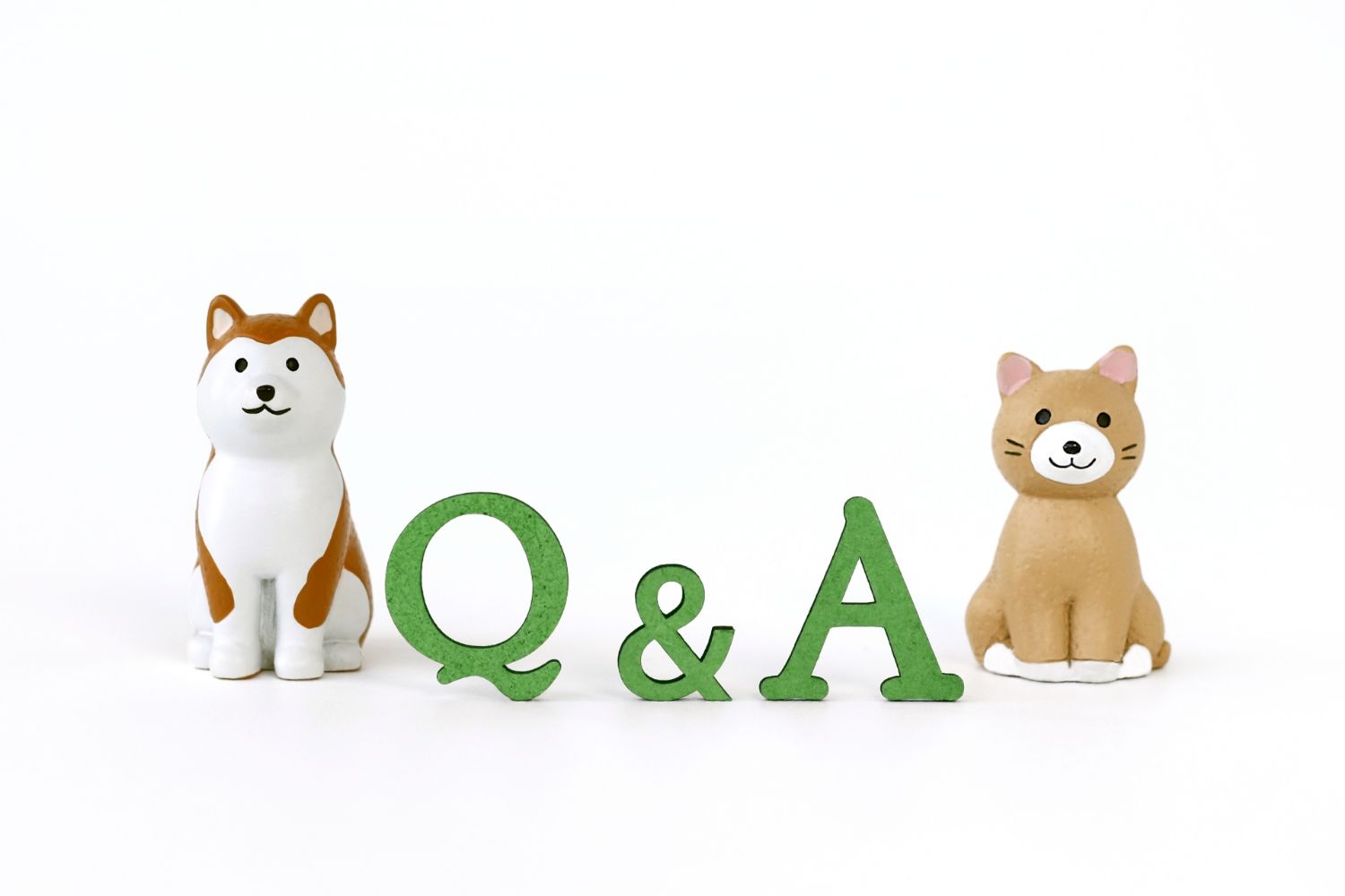 犬と猫の人形を添えたよくある質問