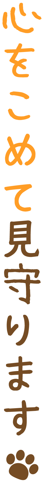 心をこめて見守ります